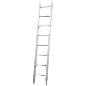 10091
