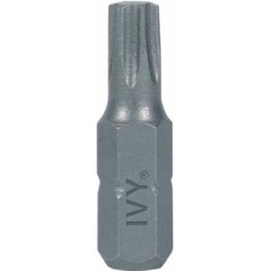 Torx Insert Bit 1 inch T10
